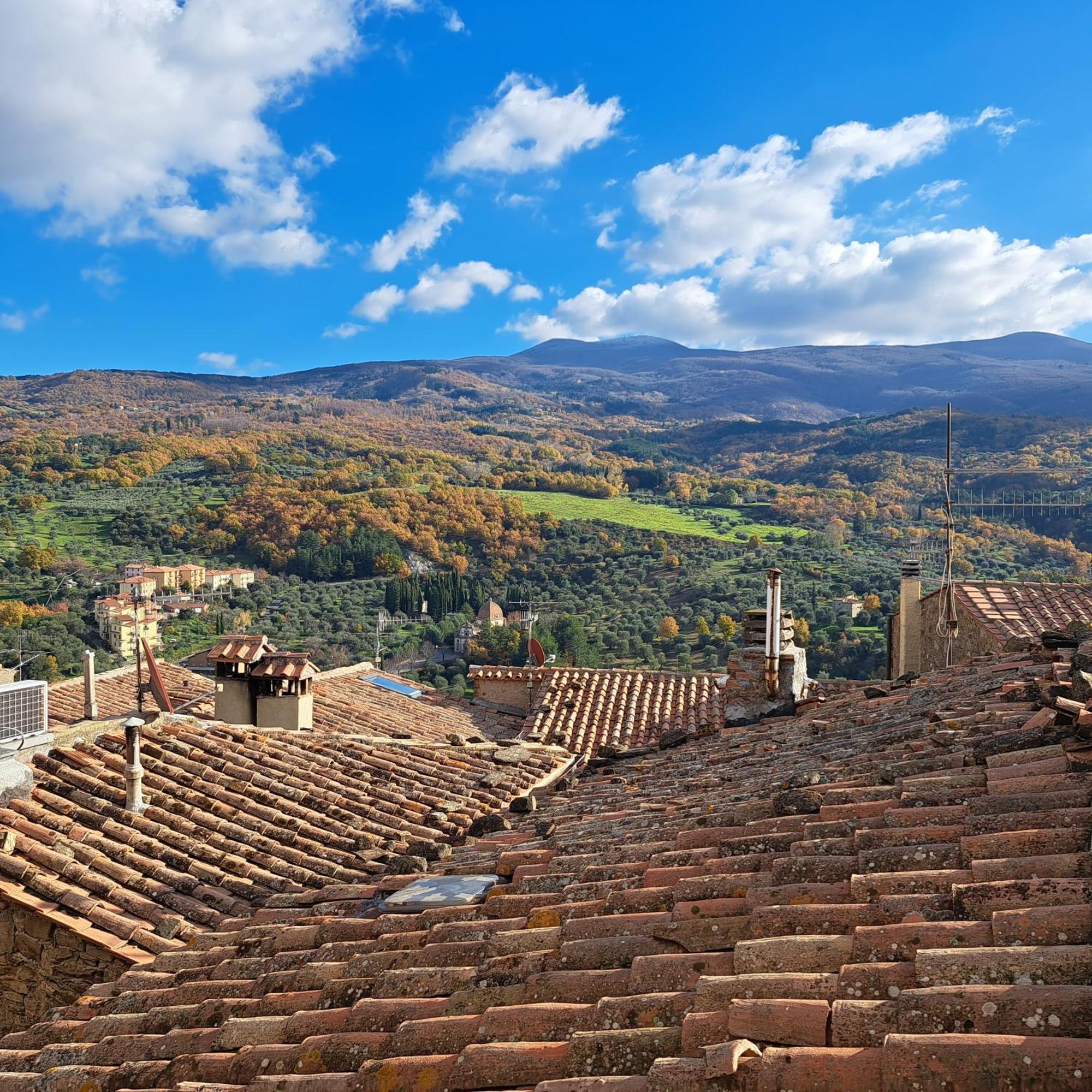 Antica Abitazione Con Vista Montagna Casa Norma Lägenhet Seggiano Exteriör bild