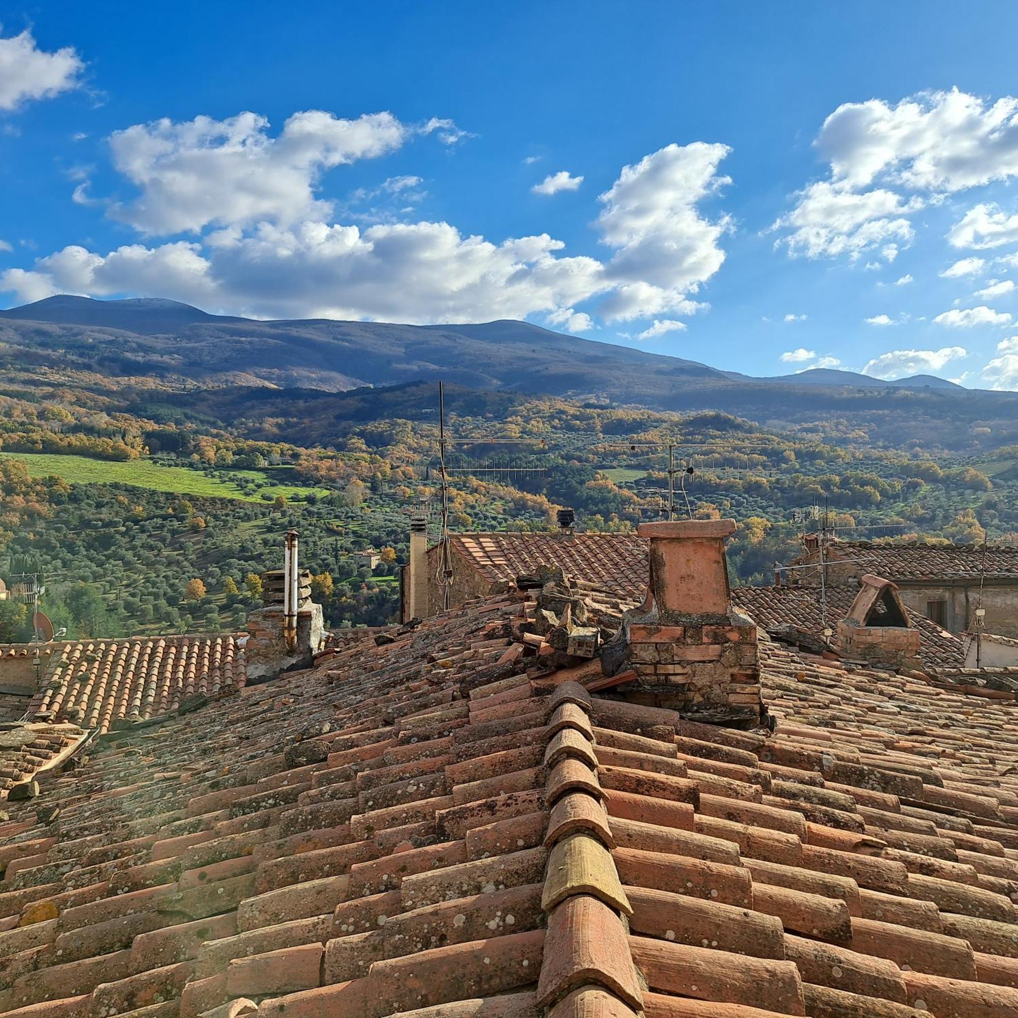 Antica Abitazione Con Vista Montagna Casa Norma Lägenhet Seggiano Exteriör bild
